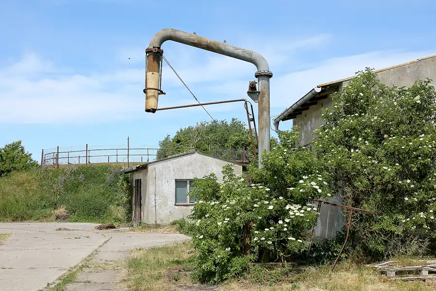 246 | 2021 | Insel Ummanz – Wusse | © carsten riede fotografie