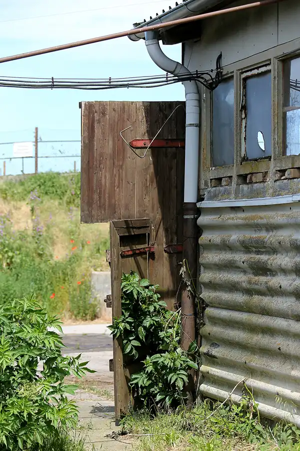 247 | 2021 | Insel Ummanz – Wusse | © carsten riede fotografie