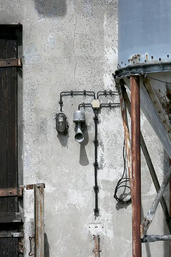 248 | 2021 | Insel Ummanz – Wusse | © carsten riede fotografie