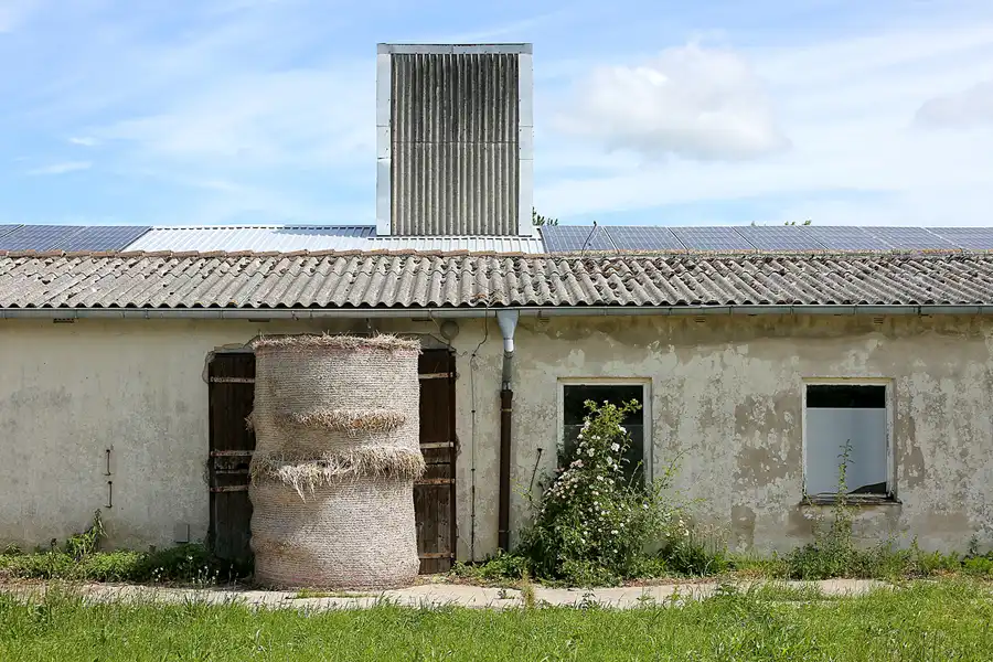 249 | 2021 | Insel Ummanz – Wusse | © carsten riede fotografie