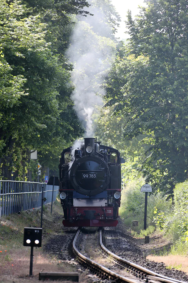 153 | 2021 | Binz | Bahnhof – Rasender Roland | © carsten riede fotografie