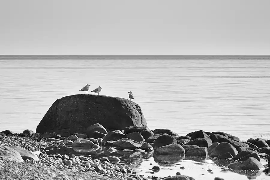 002 | 2021 | Sassnitz – Kieler Bach | Uferweg | © carsten riede fotografie