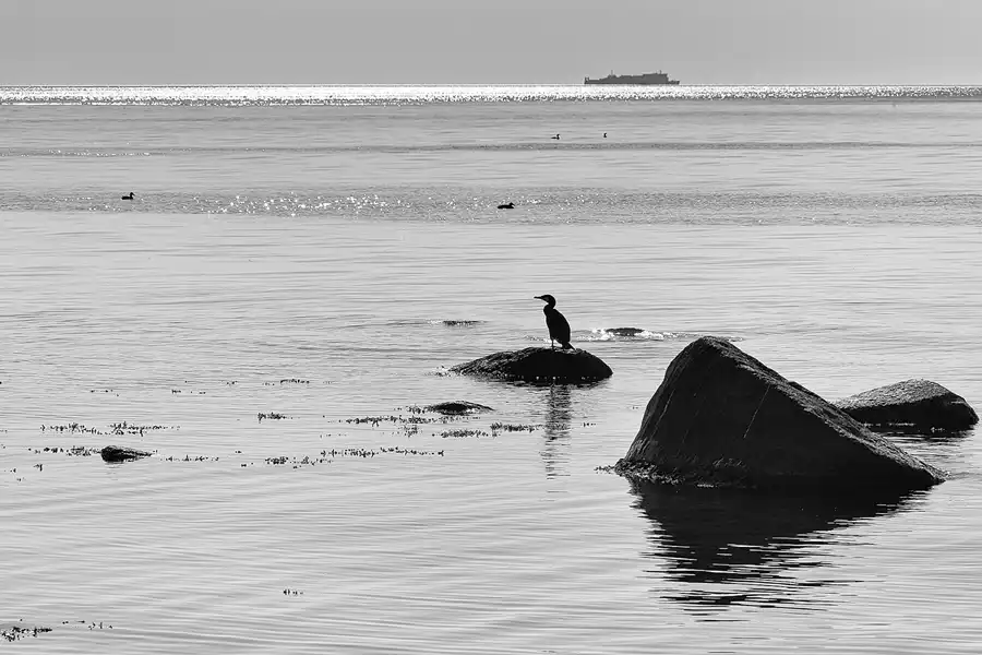 003 | 2021 | Sassnitz – Kieler Bach | Uferweg | © carsten riede fotografie