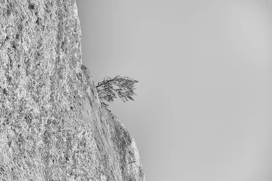 004 | 2021 | Sassnitz – Kieler Bach | Uferweg | © carsten riede fotografie