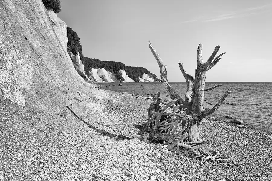 006 | 2021 | Sassnitz – Kieler Bach | Uferweg | © carsten riede fotografie
