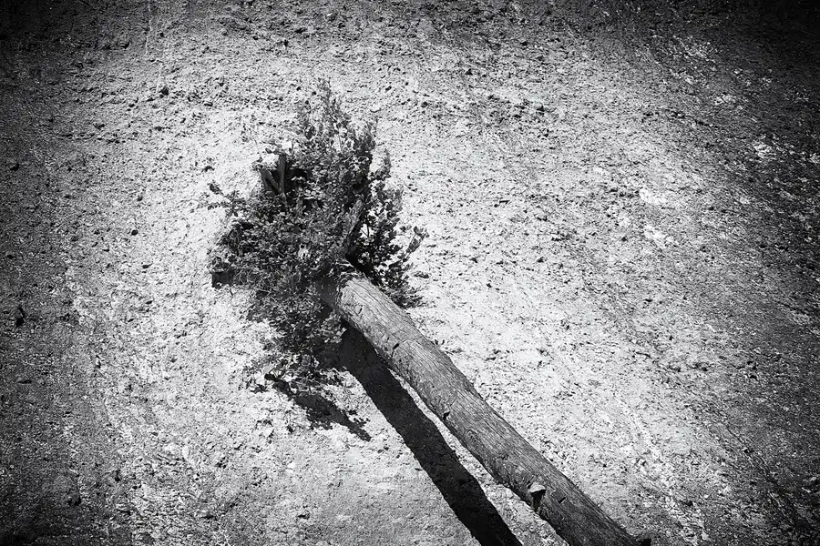 007 | 2021 | Sassnitz – Kieler Bach | Uferweg | © carsten riede fotografie