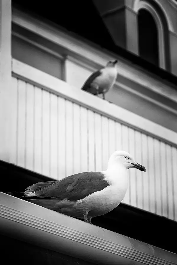 012 | 2021 | Binz | © carsten riede fotografie
