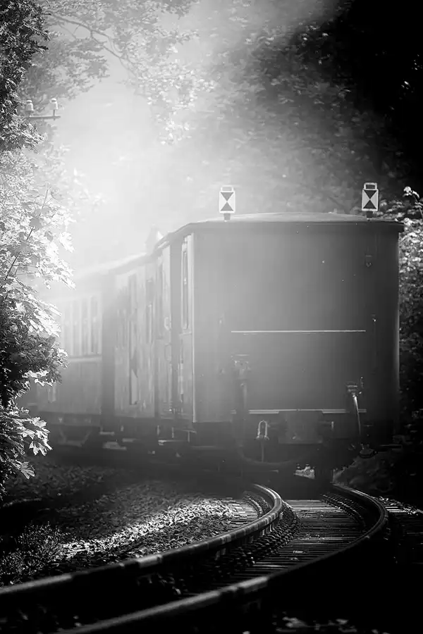 015 | 2021 | Göhren | Rasender Roland | © carsten riede fotografie