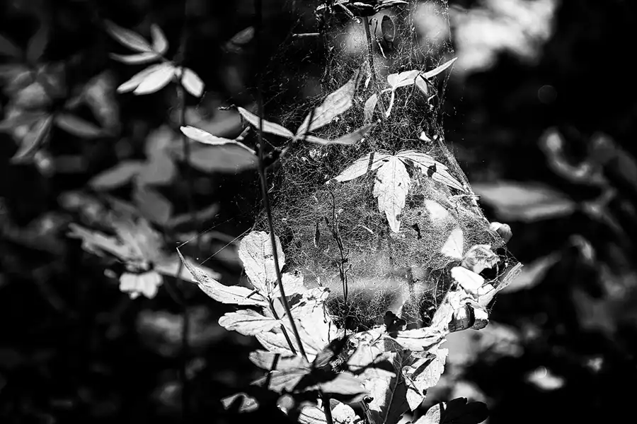 018 | 2021 | Kieler Bach – Sassnitz | Hochuferweg | © carsten riede fotografie