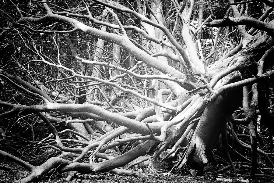 019 | 2021 | Kieler Bach – Sassnitz | Hochuferweg | © carsten riede fotografie