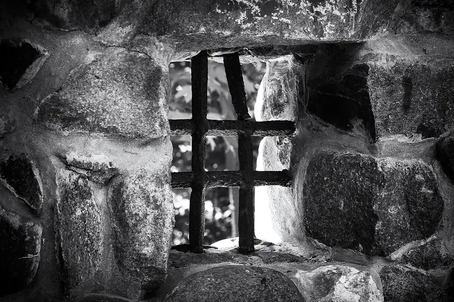 022 | 2021 | Lietzow | Waldpark Semper | © carsten riede fotografie