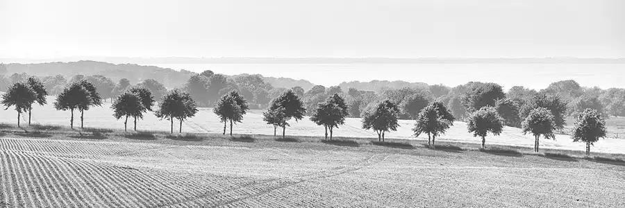024 | 2021 | Lohme | © carsten riede fotografie