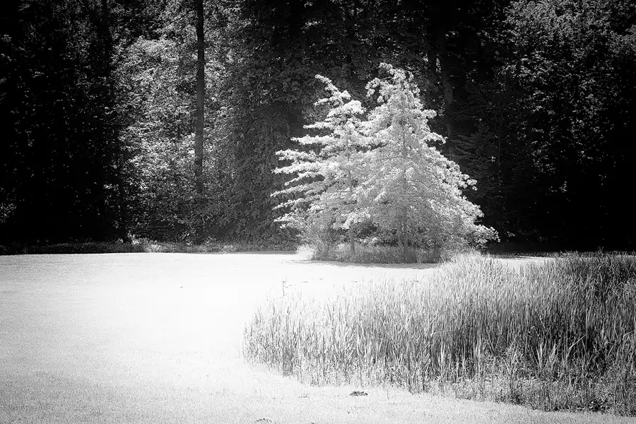 030 | 2021 | Pansevitz | Schlosspark | © carsten riede fotografie