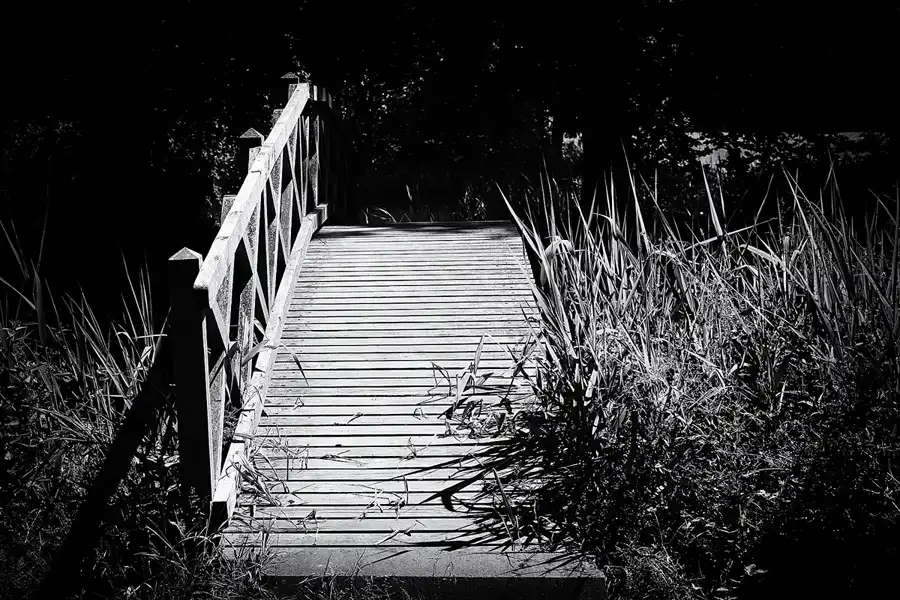 031 | 2021 | Pansevitz | Schlosspark | © carsten riede fotografie