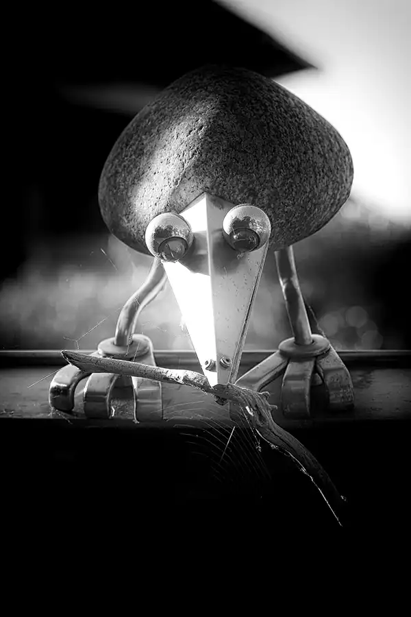 037 | 2021 | Sassnitz | © carsten riede fotografie