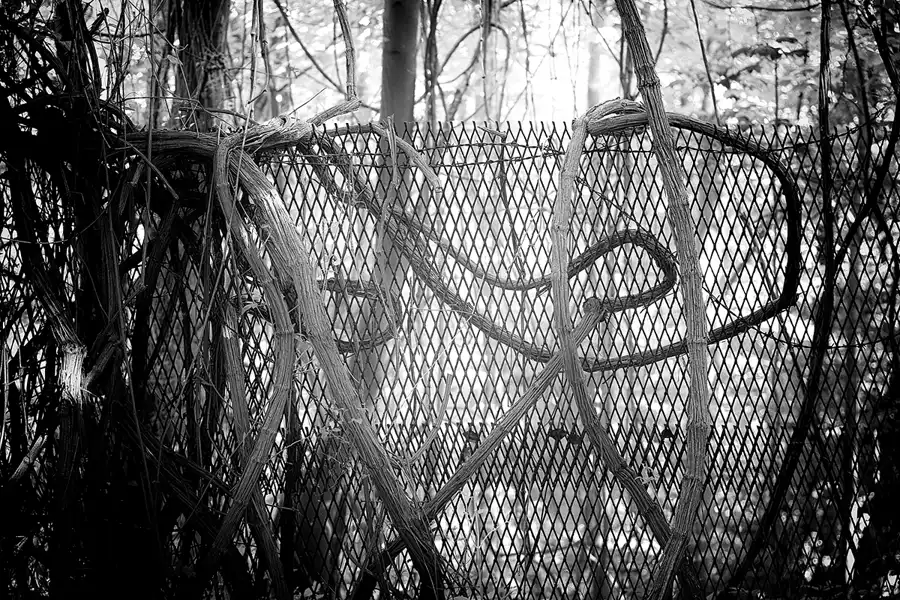 041 | 2021 | Sassnitz | Dwasieden | © carsten riede fotografie