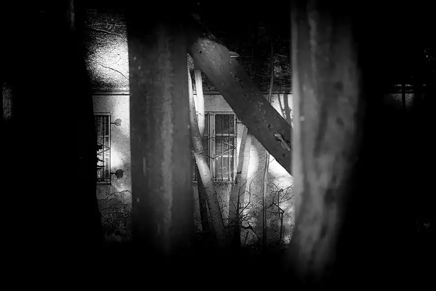 045 | 2021 | Stubbenkammer | © carsten riede fotografie