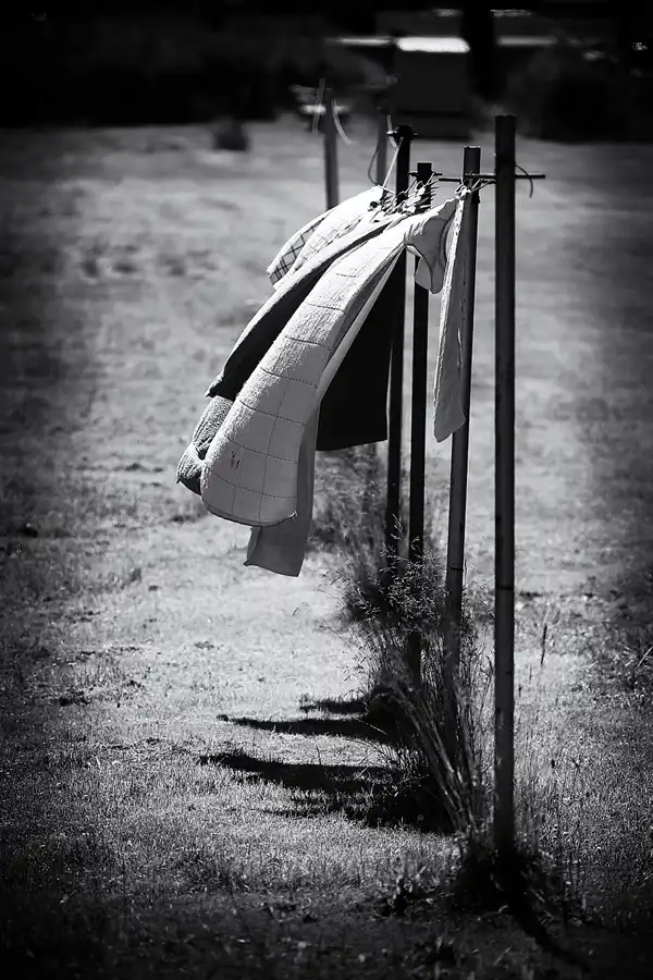 050 | 2021 | Moritzdorf | © carsten riede fotografie