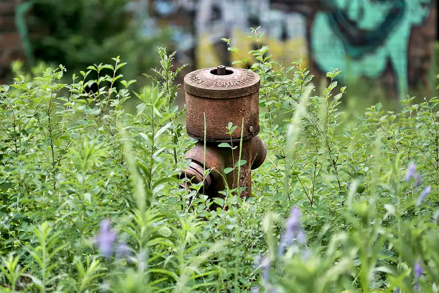 041 | 2021 | Schönwalde | Flugplatz Schönwalde | © carsten riede fotografie