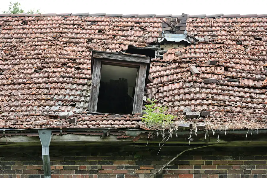 042 | 2021 | Schönwalde | Flugplatz Schönwalde | © carsten riede fotografie