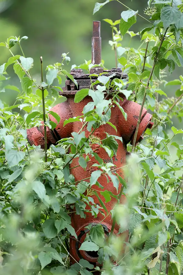 085 | 2021 | Schönwalde | Flugplatz Schönwalde | © carsten riede fotografie