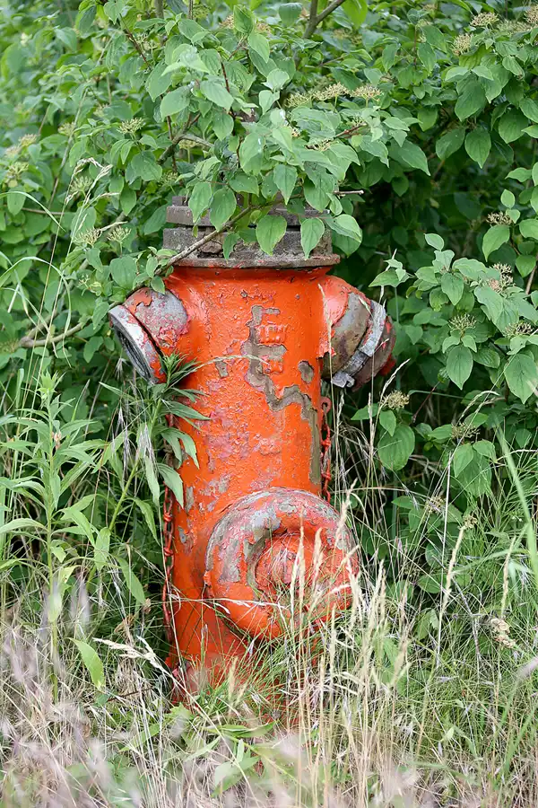 100 | 2021 | Schönwalde | Flugplatz Schönwalde | © carsten riede fotografie