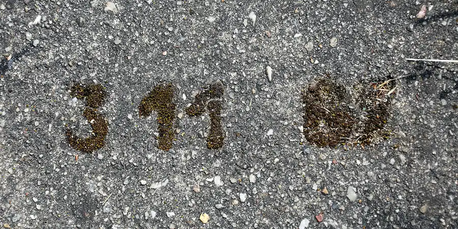 056 | 2021 | Neuhardenberg | Flugplatz EDON | © carsten riede fotografie