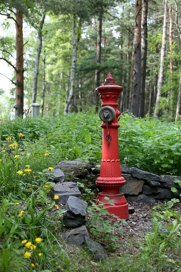 017 | 2021 | Lichtenhain/Bergbahn | © carsten riede fotografie