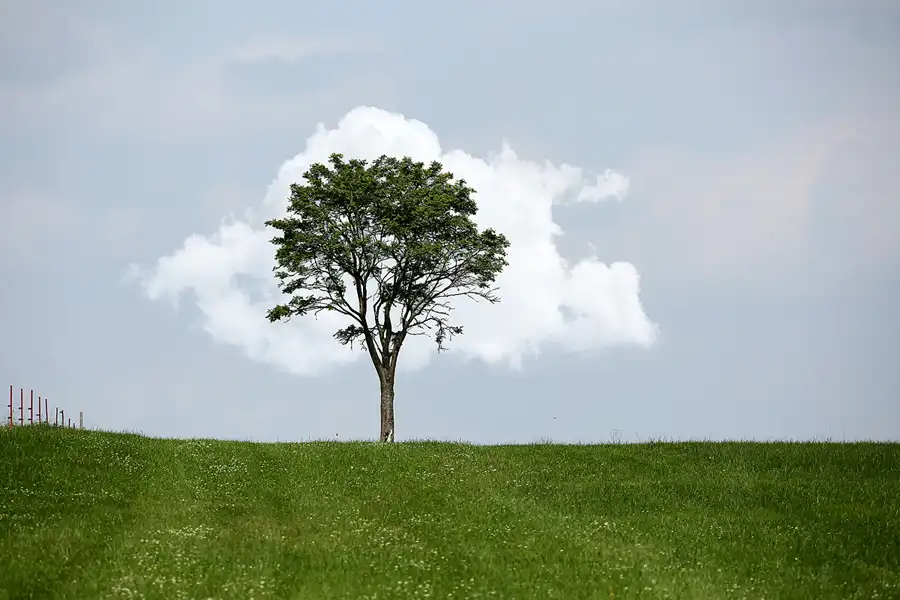 042 | 2021 | Lichtenhain/Bergbahn | © carsten riede fotografie