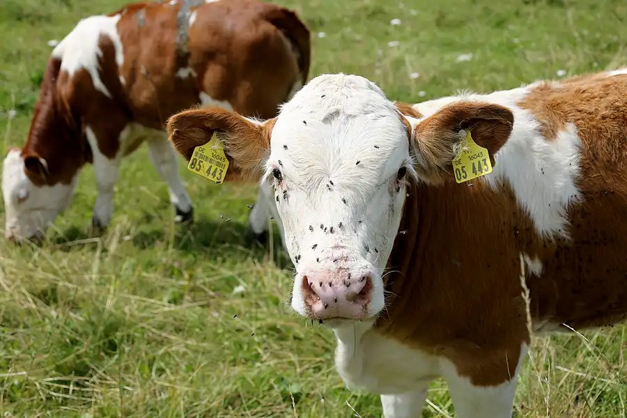 045 | 2021 | Lichtenhain/Bergbahn | © carsten riede fotografie
