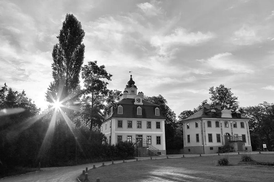 009 | 2021 | Weimar | Schlosspark Belvedere | © carsten riede fotografie