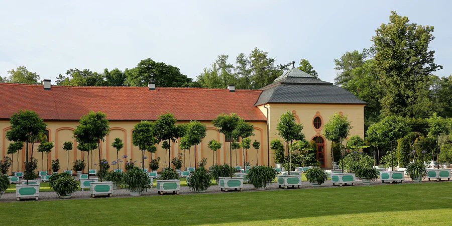029 | 2021 | Weimar | Schlosspark Belvedere | © carsten riede fotografie