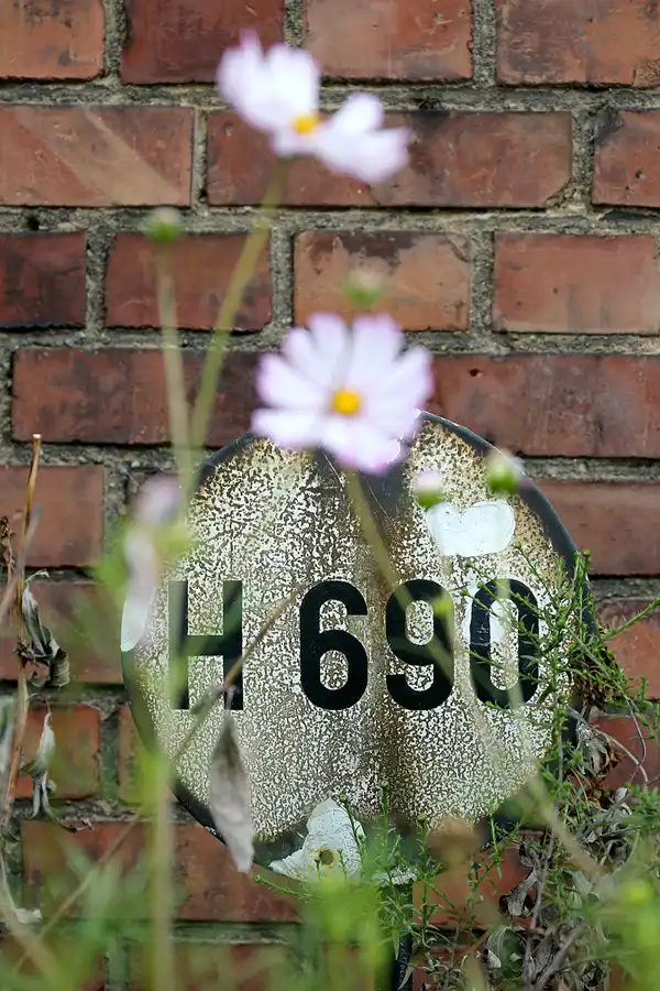 036 | 2021 | Mügeln | Bahnhof – Döllnitzbahn | © carsten riede fotografie