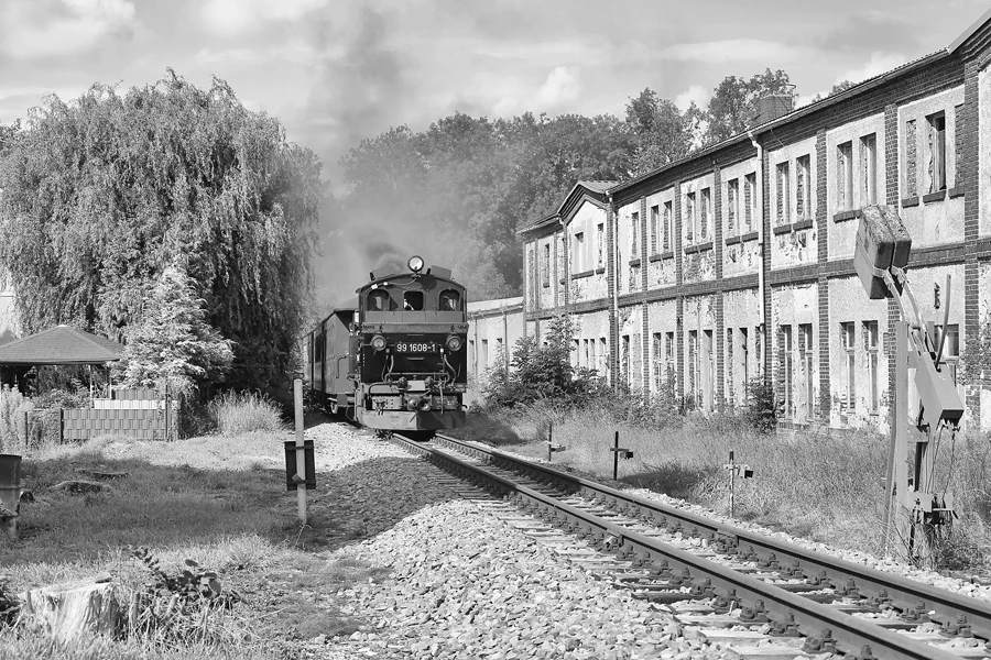 050 | 2021 | Mügeln | Döllnitzbahn | © carsten riede fotografie