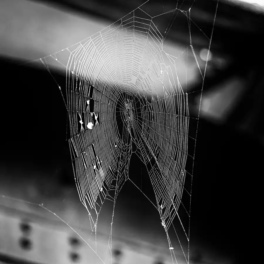 055 | 2021 | Jaworzyna Slaska (Königszelt) | Muzeum Kolejnictwa na Slasku | © carsten riede fotografie