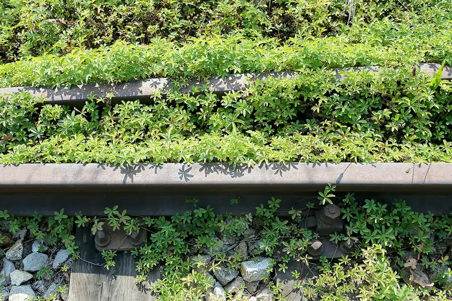 100 | 2021 | Jaworzyna Slaska (Königszelt) | Muzeum Kolejnictwa na Slasku | © carsten riede fotografie