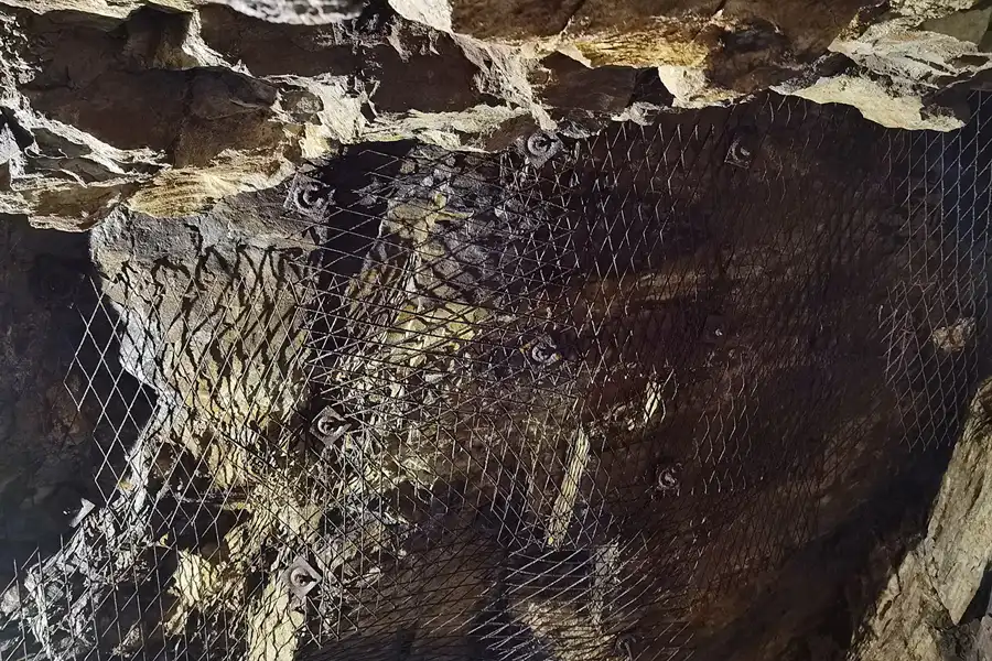 122 | 2021 | Rzeczka (Dorfbach) | Projekt Riese | © carsten riede fotografie