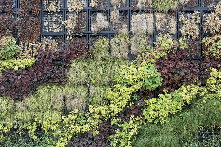 051 | 2021 | Wroclaw (Breslau) | © carsten riede fotografie