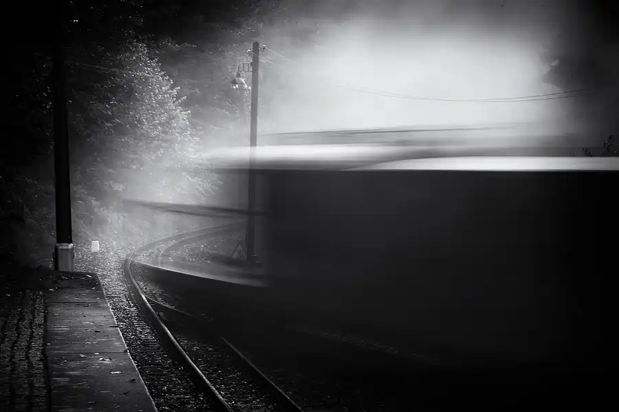 128 | 2021 | Steinbach bei Jöhstadt | Pressnitztalbahn | © carsten riede fotografie