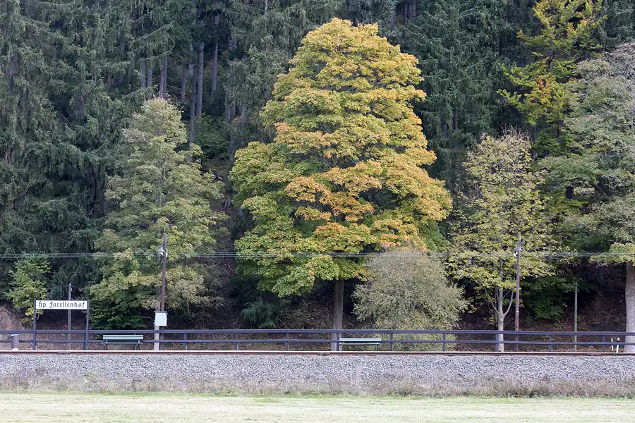 165 | 2021 | Forellenhof | Haltepunkt – Pressnitztalbahn | © carsten riede fotografie