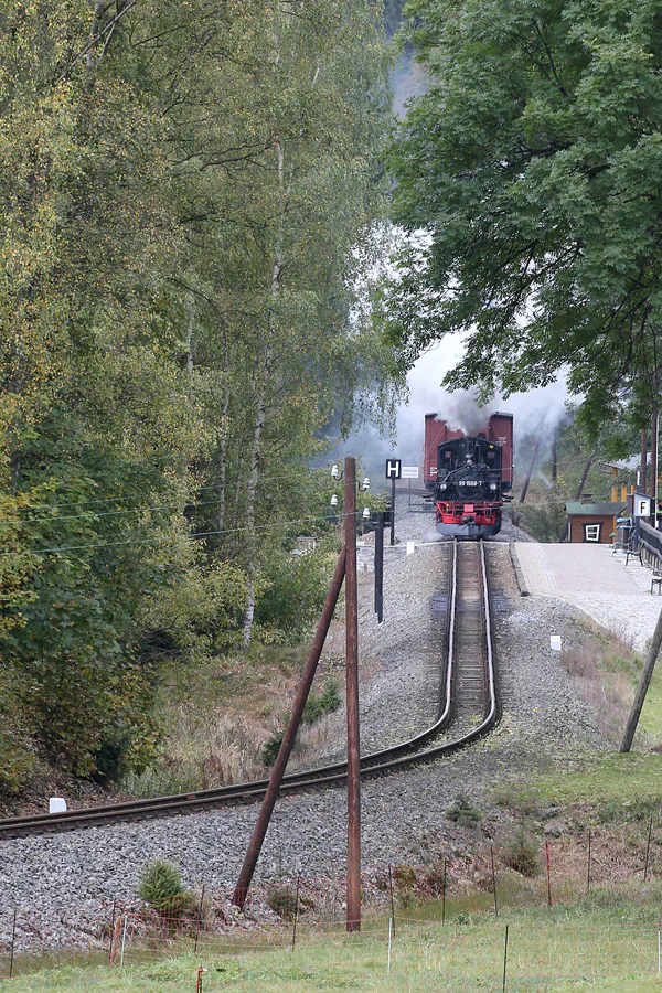 100 | 2021 | Forellenhof | Haltepunkt – Pressnitztalbahn | © carsten riede fotografie