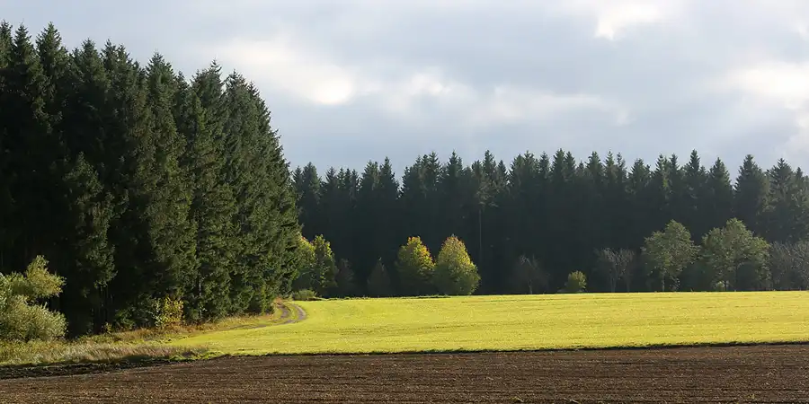 009 | 2021 | Cranzahl | © carsten riede fotografie