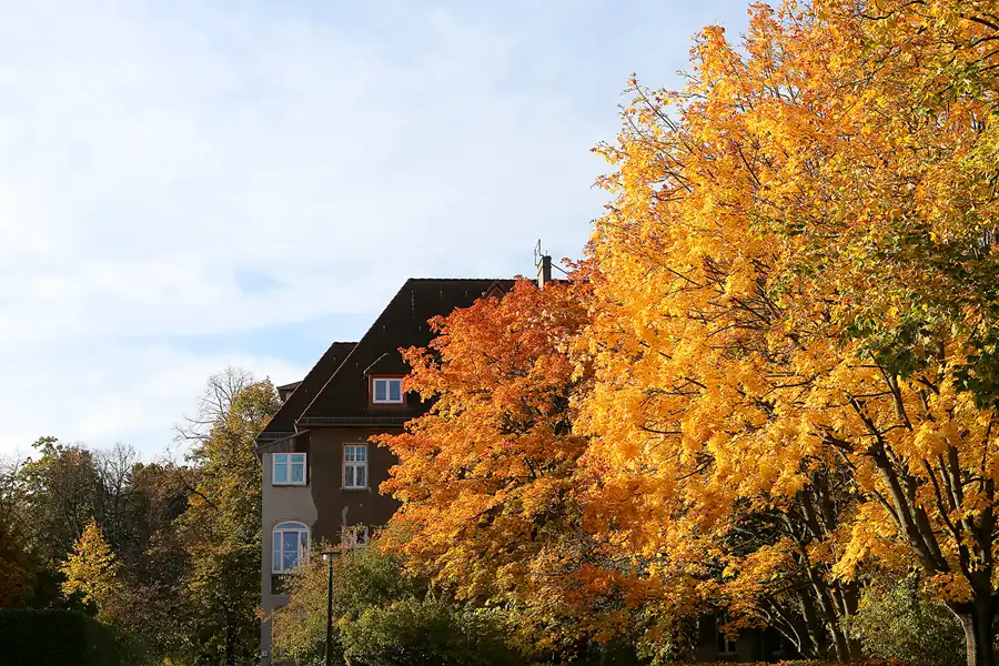 022 | 2021 | Berlin | Obersee-Orankesee-Park | © carsten riede fotografie