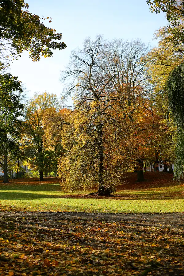 024 | 2021 | Berlin | Obersee-Orankesee-Park | © carsten riede fotografie