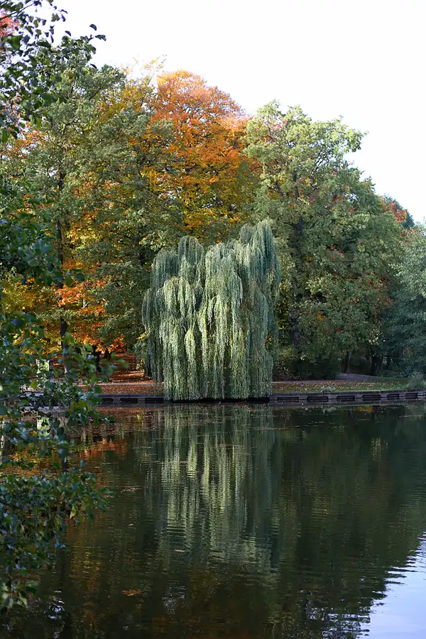 026 | 2021 | Berlin | Obersee-Orankesee-Park | © carsten riede fotografie