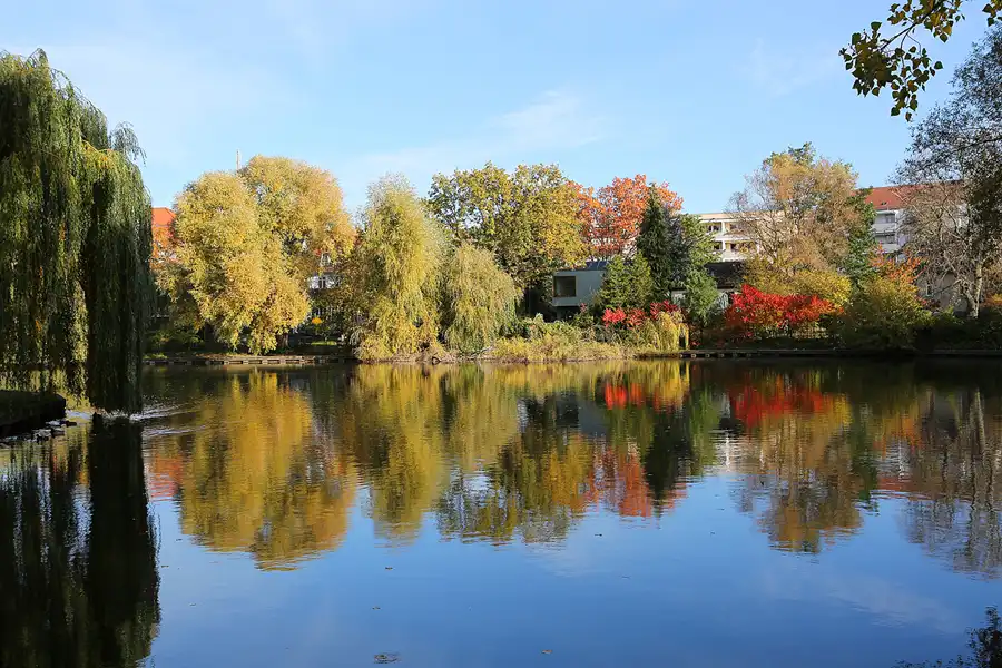 029 | 2021 | Berlin | Obersee-Orankesee-Park | © carsten riede fotografie