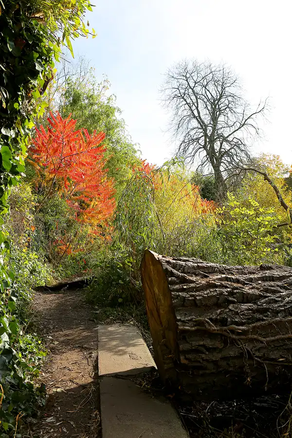 034 | 2021 | Berlin | Obersee-Orankesee-Park | © carsten riede fotografie