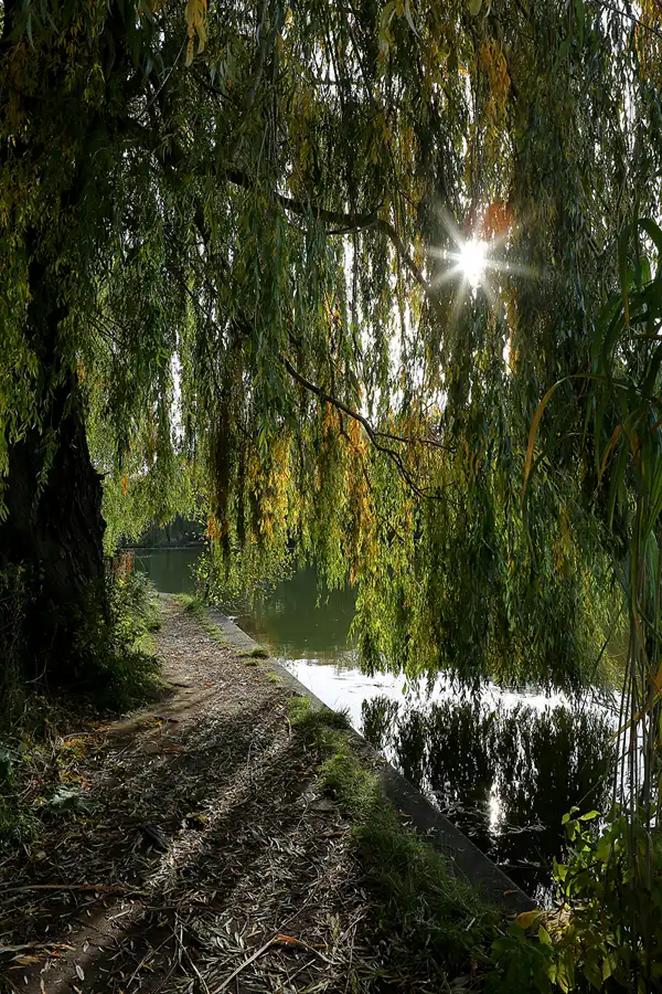 039 | 2021 | Berlin | Obersee-Orankesee-Park | © carsten riede fotografie
