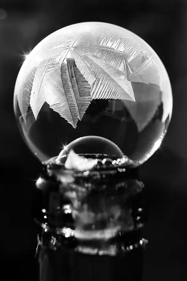 027 | 2021 | Berlin | Frozen Bubbles – Gefrorene Seifenblasen | © carsten riede fotografie