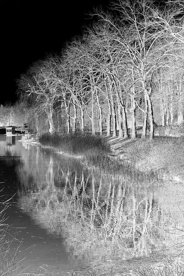 051 | 2022 | Berlin | Obersee-Orankesee-Park | © carsten riede fotografie